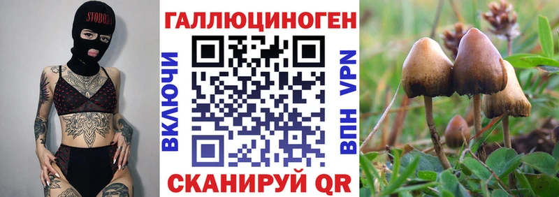 Галлюциногенные грибы мицелий  Нижний Тагил 